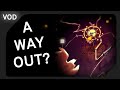 Can I Actually Finish Rain World? | Stream VOD