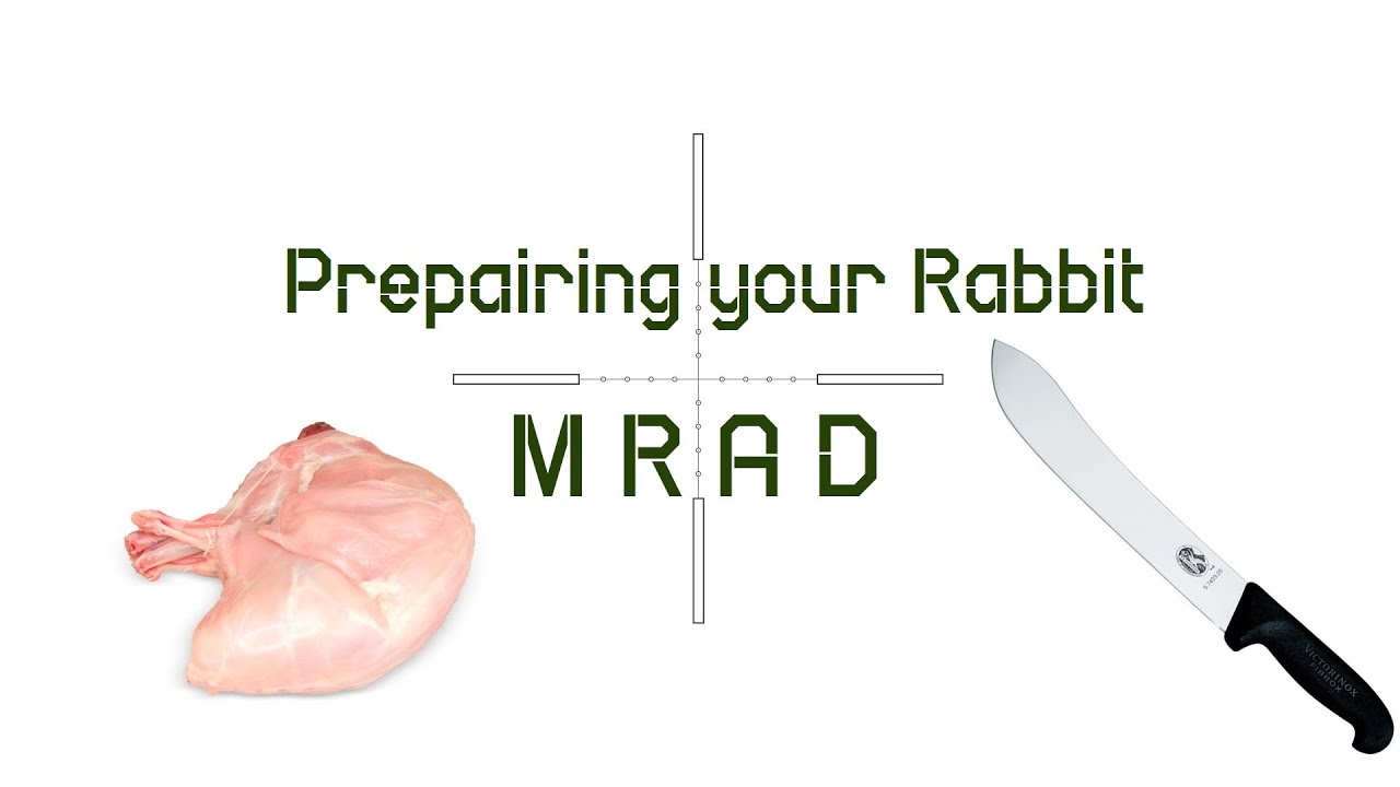 Rabbit Hunting: Cleaning your rabbits 