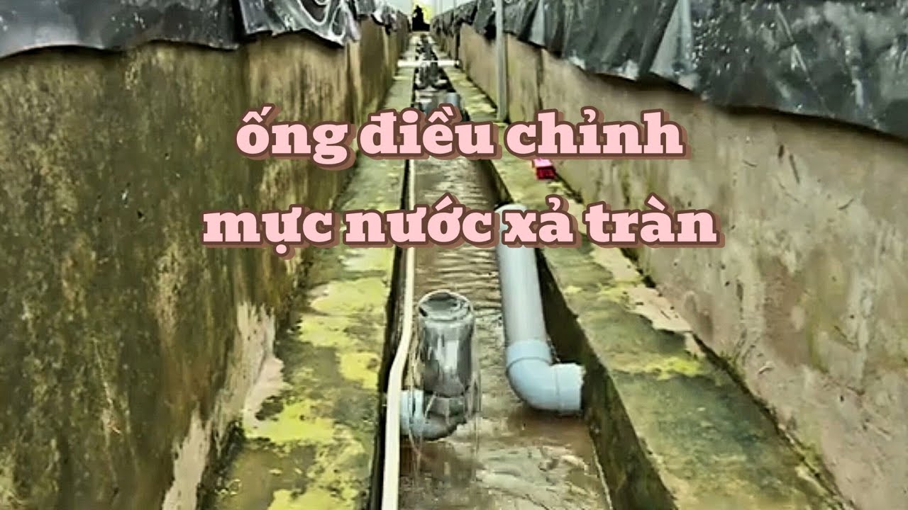 Kỹ thuật nuôi lươn tuần hoàn nước theo phương pháp xả tràn