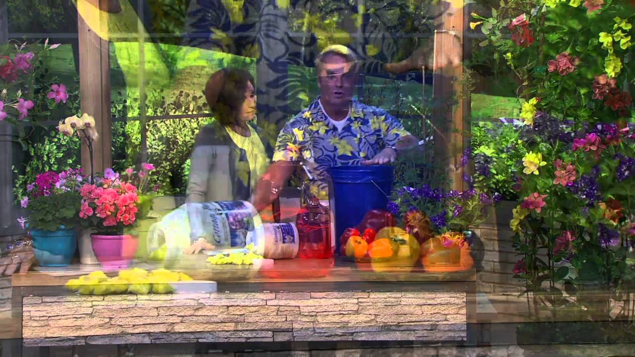 Cottage Farms Bud 'N Flower Booster Fertilizer Packs on QVC YouTube