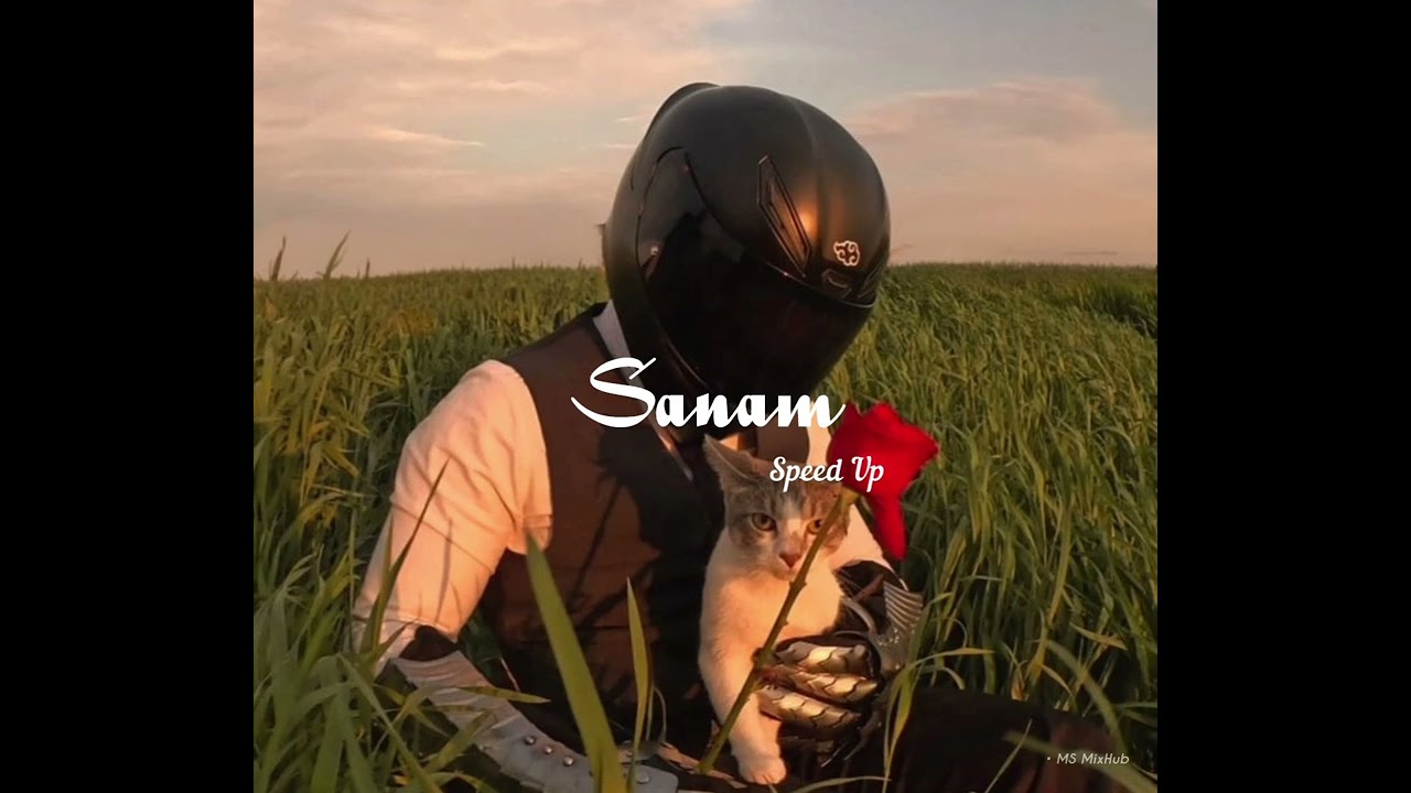 SANAM - (Speed Up) | Shibu | MS MixHub | New TikTok Trending Songs 💫🥂