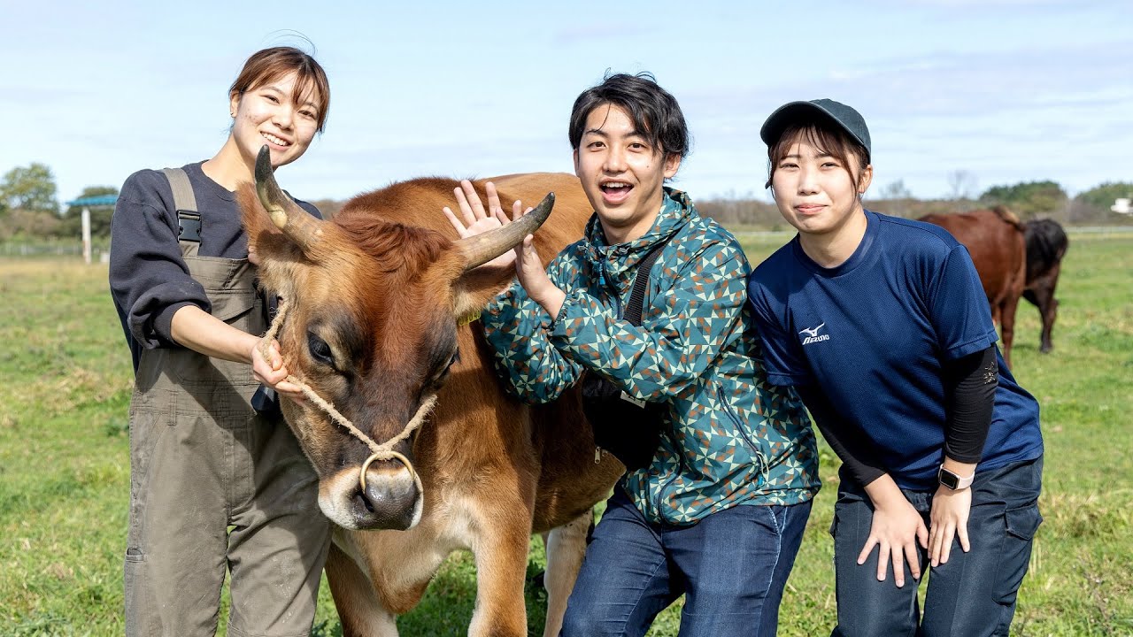 スマート畜産女子  |  秋田県立大学 アグリビジネス学科  | アグリイノベーション教育研究センター牛舎