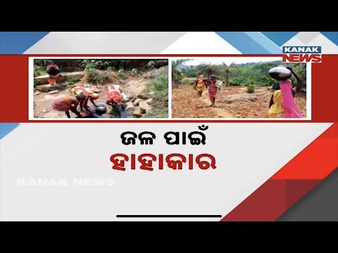 Heartbreaking! 120 Families Fight Daily for a Drop of Water in Koraput