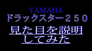 ドラックスター250(VG０５J)の見た目を説明してみた！バイク屋アキラ