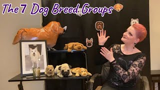 The 7 Dog Breed Groups