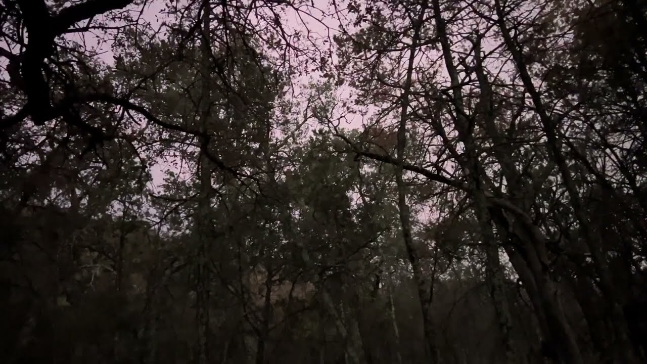 Lightning Storm Approaching Juniper Canyon Campsite while Tent Camping Big Bend National Park Texas