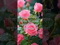 #প্রেম #আত্মপ্রেম #SelfLove #RelationshipGoals #ভালোবাসা #Motivation #বাংলা_ভালোবাসা