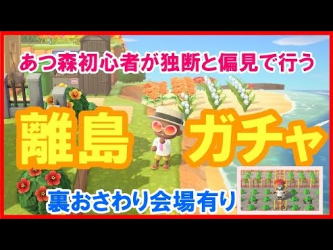 【あつまれどうぶつの森】あつ森初心者が独断と偏見で行う離島ガチャ！+裏おさわり会場有り