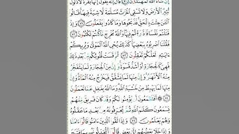 سورة البقرة الصفحة ١١ الشيخ مشاري العفاسي