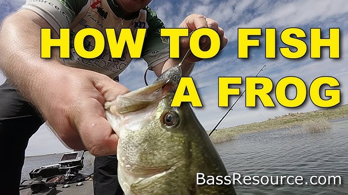 Frog Fishing Tips for More Bass: Size and Color Matters - Wired2Fish