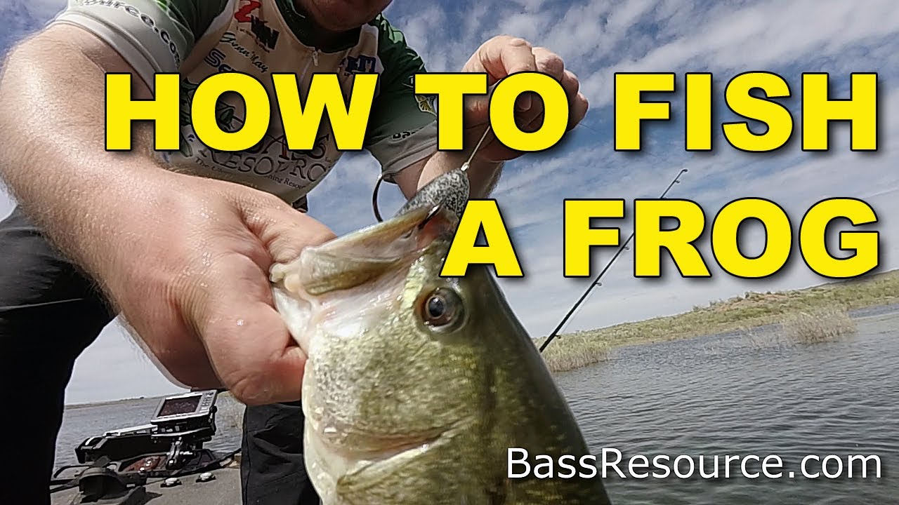 How To Fish A Frog For Big Fish (The Best Ways)