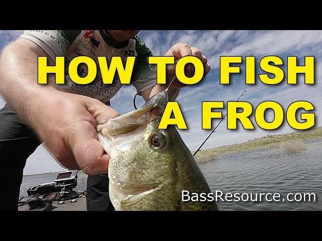 Frog Fishing is One of the Most Popular Ways to Catch Shallow