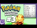 ALLENAMENTO PURO - Smeraldo Perfetto HC Nuzlocke #3