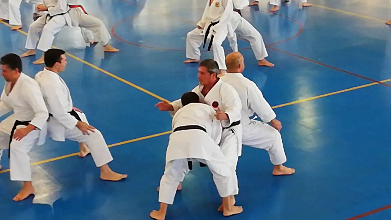 Ogkk Sensei Mario Lugones chile