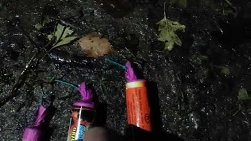 Fp3 Small vs. Colour Salute Cz vs. Colour SalutePL