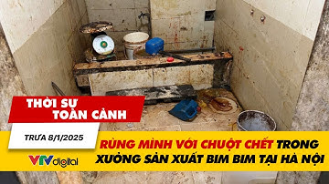 Thời sự toàn cảnh trưa 8/1: Rùng mình với chuột chết trong xưởng sản xuất bim bim tại Hà Nội | VTV24