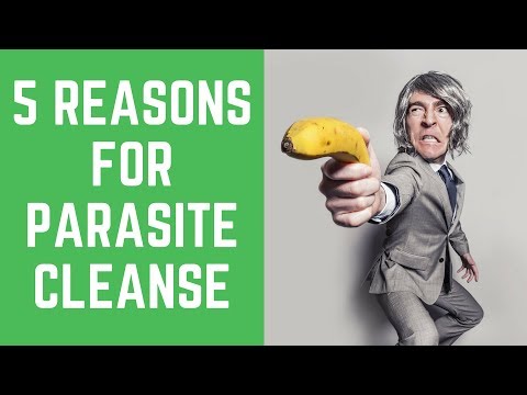 Are you looking for an effective parasite cleanse?