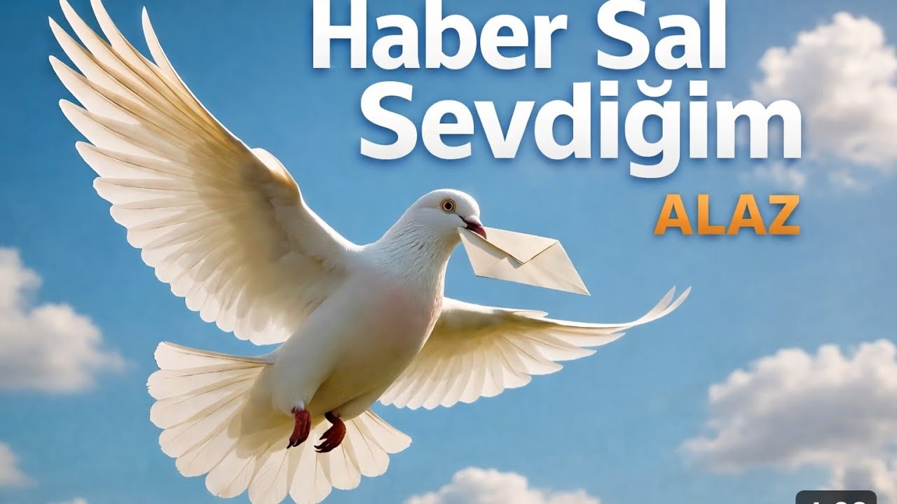 Sizde mi Kavuşamadınız ? Haber Sal Sevdiğim - ALAZ Cover