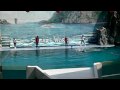 1283 - THAILAND - BANGKOK - SAFARI LAND - MARIN SHOW