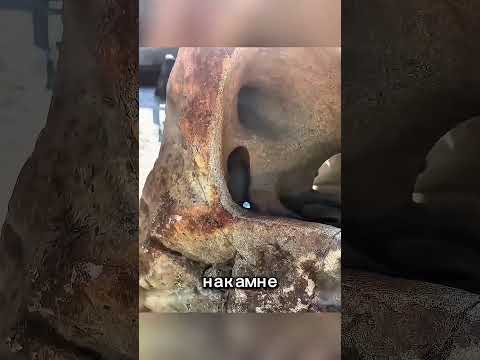 Эти шарики никогда не останавливаются 🤯
