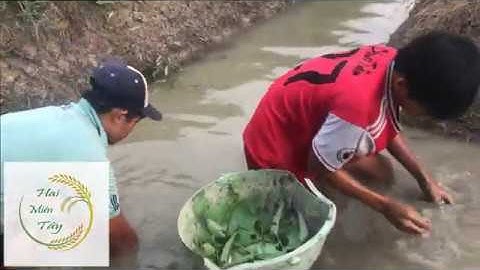 Đi bắt ốc gặp cao thủ bắt cá, hẹn 1 ngày gặp lại - Hai Miền Tây Tập 7