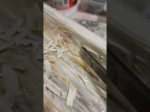 Video: Raft druri DIY (foto)