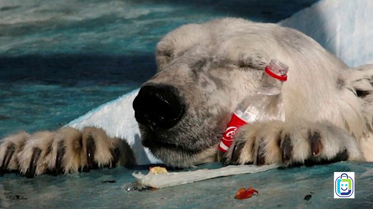 One Bag Zero Waste campaign  Environment Minister Rebecca Pow