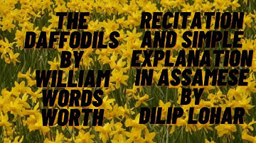 The Daffodils (poem) by William Wordsworth for class 7(vii)