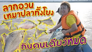 ออกเรือตามล่าปลายักษ์แห่งแม่น้ำโขง I กู๊ดเดย์ นครพนม I Giant Fish of Mekong River