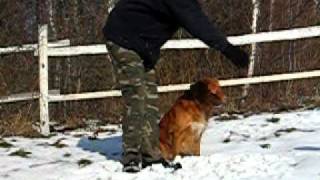 MVI_5533.AVI