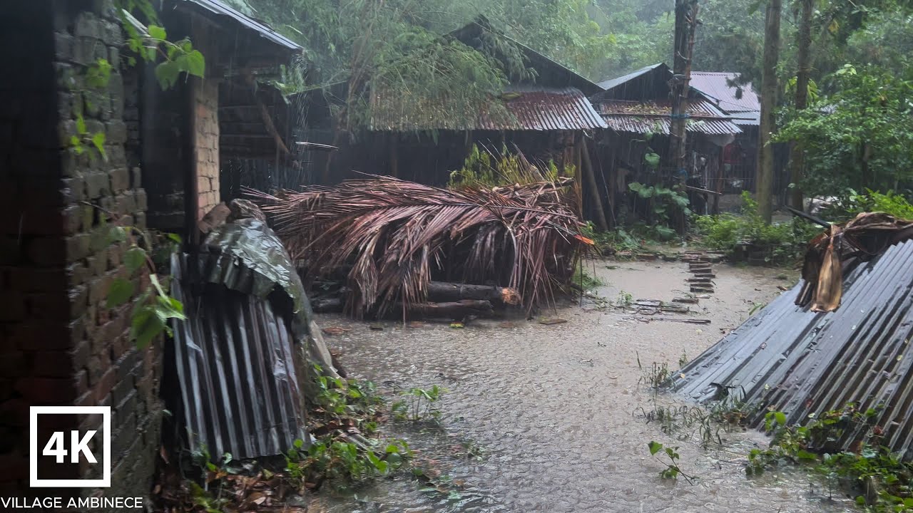 Wonderful rainy season in Bangladesh | village rainy day | small village family