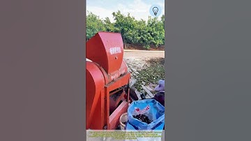 Automatic chestnut peeling machine: Easy operation Chinese chestnut sheller chest skin remover