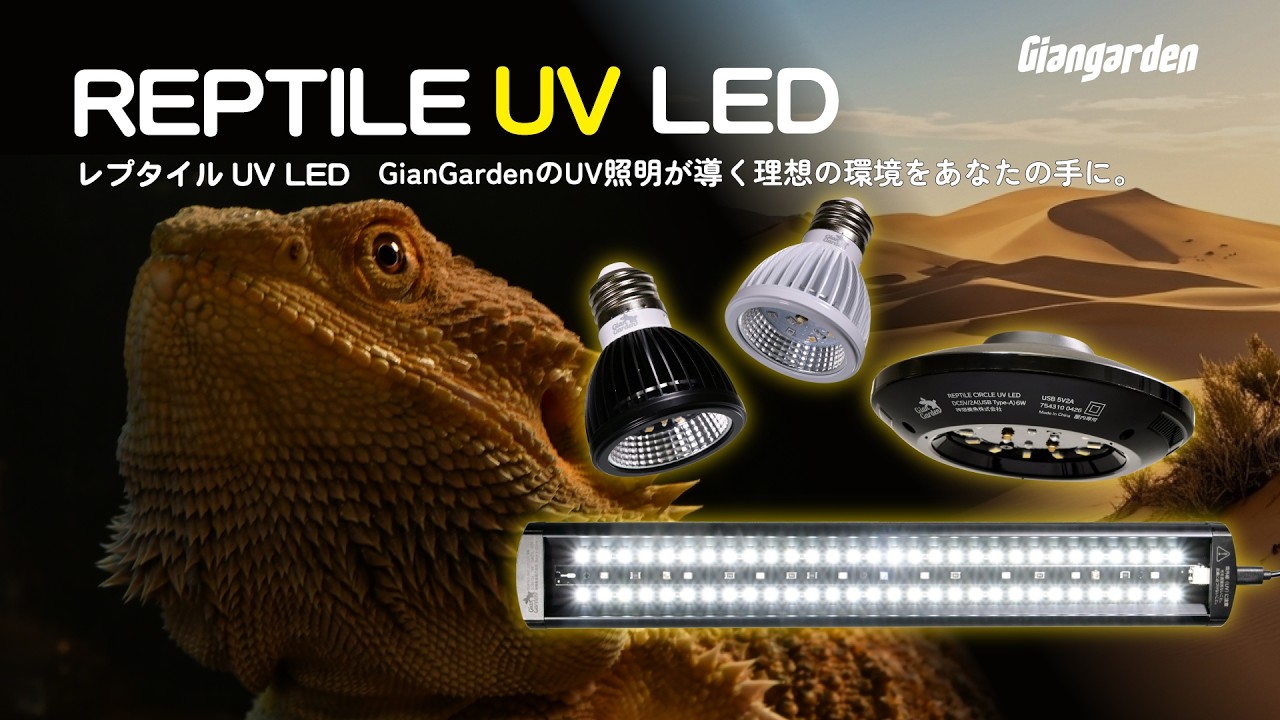 レプタイルサークル UV LED USB 5V2A :Giangarden(ジャイアン レプタイルサークル UV LED USB 5V2A :Giangarden(ジャイアン