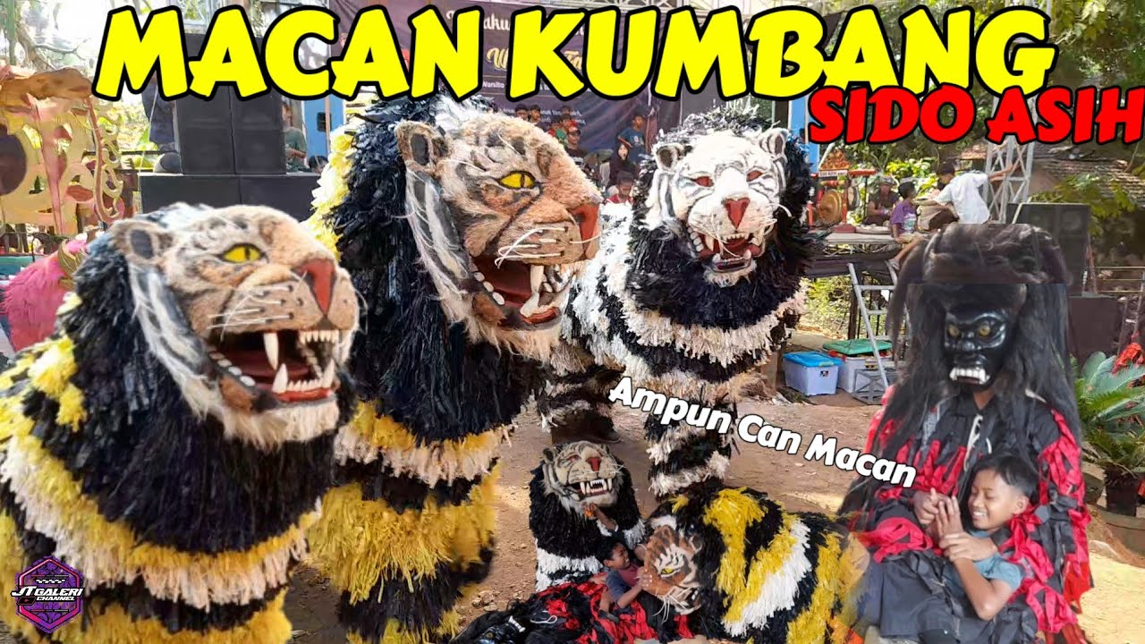 BARONGAN SIDO ASIH BONDO LIVE SROBYONG ACARA KHITANAN | MACAN KUMBANG
