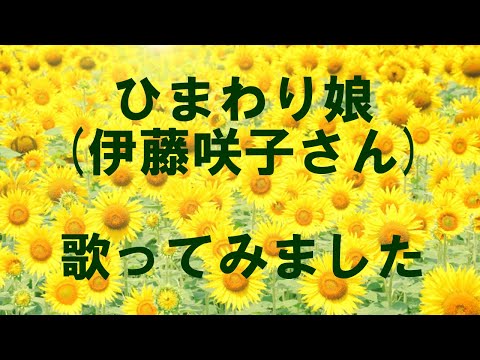「ひまわり娘」伊藤咲子 歌ってみた cover カラオケ フル 歌詞付