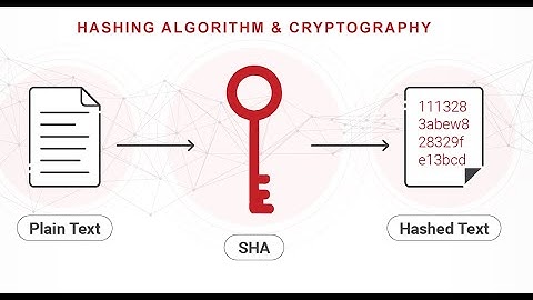 Cryptography and Hashing: How They Protect Information