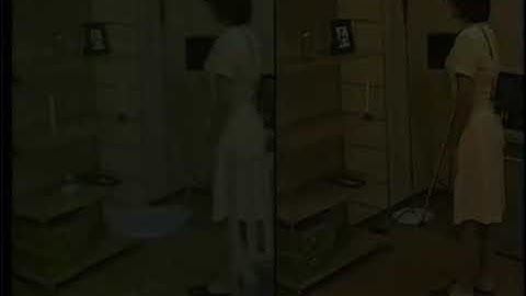 Welbo: an Embodied Conversational Agent Living in Mixed Reality Space