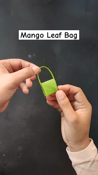 How to make Mango Leaf Bags for Kids Play | Make amazing mango leaf Bags