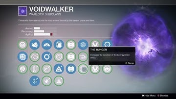 Destiny: Best Voidwalker Builds