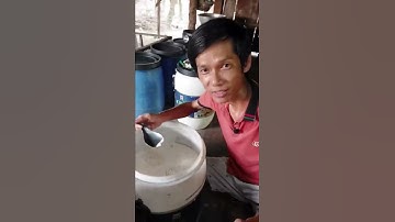 Cách nấu rượu gạo truyền thống | lên men