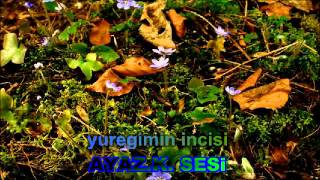 Yuregimin Incisi Siir Ayaz K Sesi