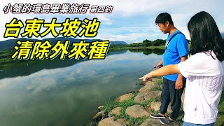 【老蟹愛釣魚】釣魚環島第四釣，大坡池清除外來魚種，想不到 ... 