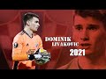Dominik Livakovic ● Amazing Saves in National Team 2021 | HD