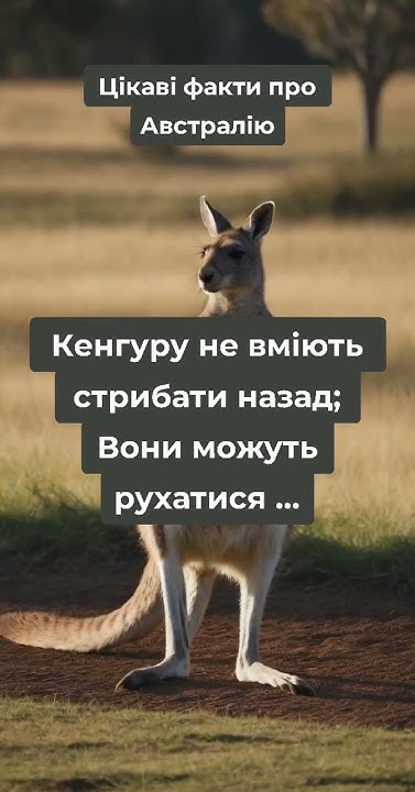 Цікаві факти про Австралію 6 - YouTube