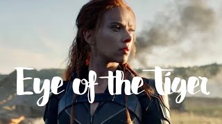 Eye of the Tiger-Black Widow