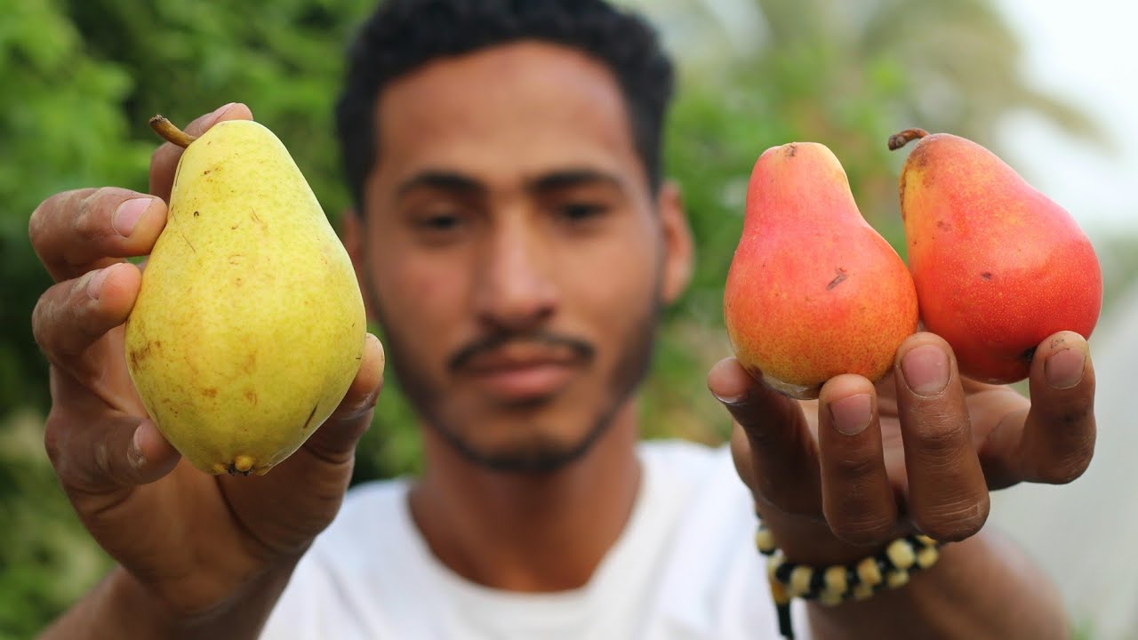 تختار مين فيهم|الكمثري اللبنانى &الكمثري جنوب افريقيا😍🍐🍐