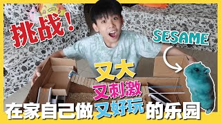 [挑战] 在家自己做又大又刺激又好玩的乐园给Sesame [JudeTube]