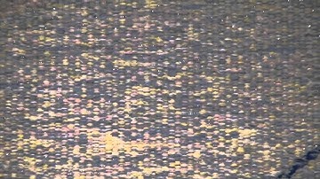 Thoma Ewen Materia Linea 2013 International  Triennial of Textile Arts