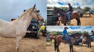 FEIRA DE CAVALO DE CARUARU PE, TERÇA FEIRA, 28.05.2024 #nordeste