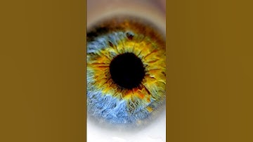 Daylight Saving Time Is Horrible 🤮